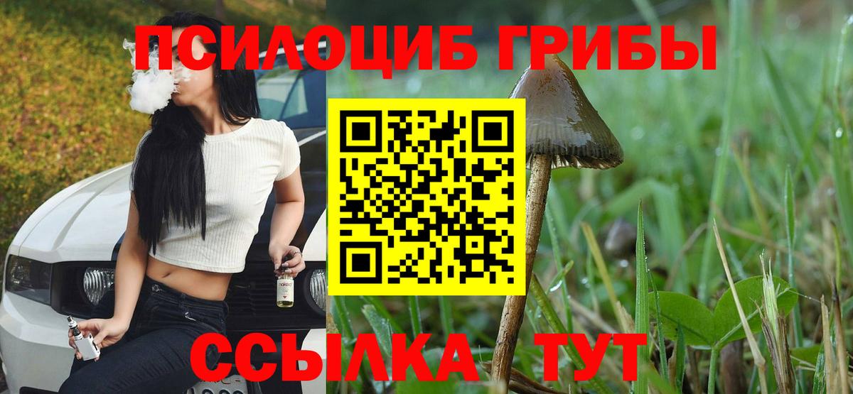 цены   Галлюциногенные грибы ЛСД  Пыть-Ях  Вход с VPN  Псилоцибиновые грибы Cubensis 